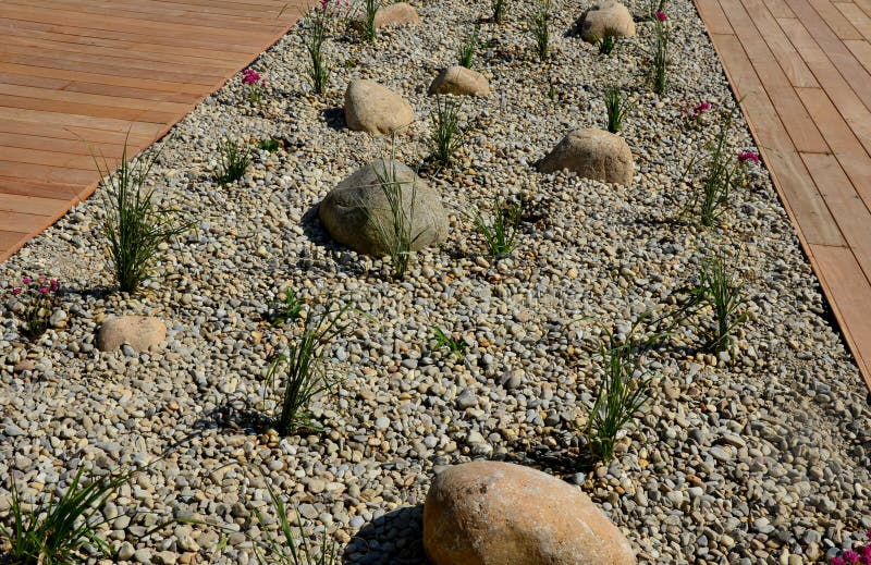 花园草原观赏花坛灰花岗岩石装饰花坛库存图片 图片包括有灰色 花圃 城市 沙漠 公园 四季不断