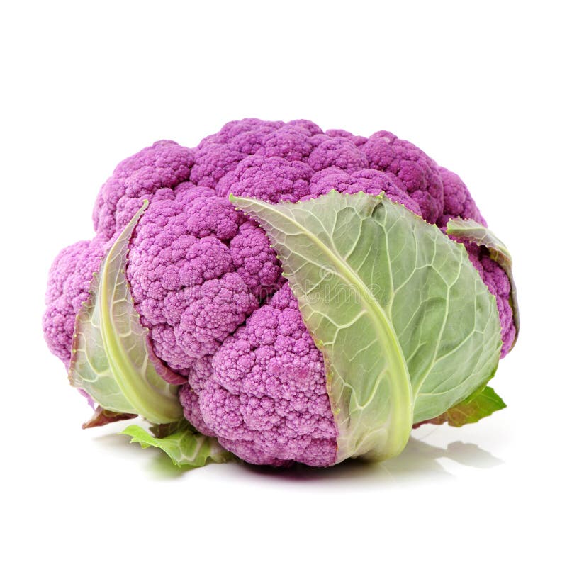 紫色花椰菜库存照片 图片包括有关闭 紫色 可食 详细资料 食物 查出 庭院 圆白菜 紫色花椰菜库存照片 图片包括有关闭 紫色 可食 详细资料 食物 查出 庭院 圆白菜
