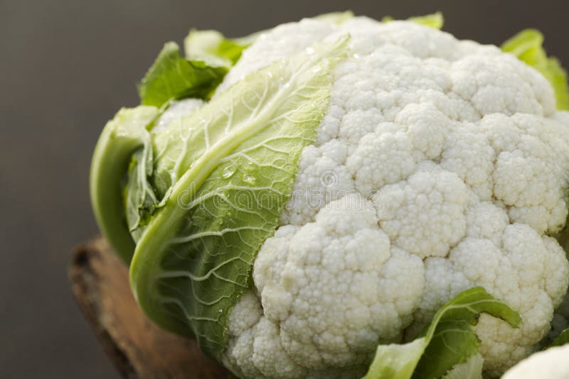 猫花椰菜库存照片 图片包括有