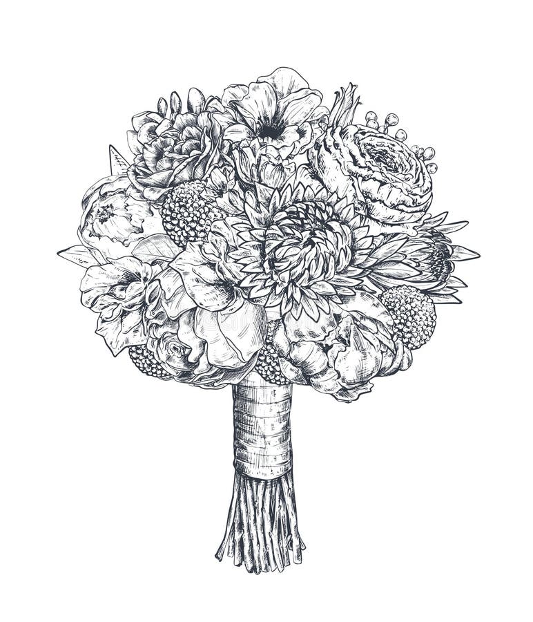 花组合物手绘花 植物 缎带的花束单色矢量插图向量例证 插画包括有绽放 问候 花卉 花束 花组合物手绘花 植物 缎带的花束单色矢量插图向量例证 插画包括有绽放 问候 花卉 花束
