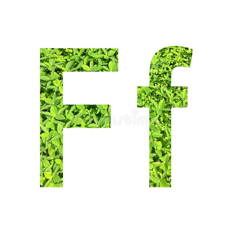 英语字母表a œf 由绿草做的fa 在隔绝的白色背景库存例证 插画包括有特写镜头 本质 英语字母表a œf 由绿草做的fa 在隔绝的白色背景库存例证 插画包括有特写镜头 本质
