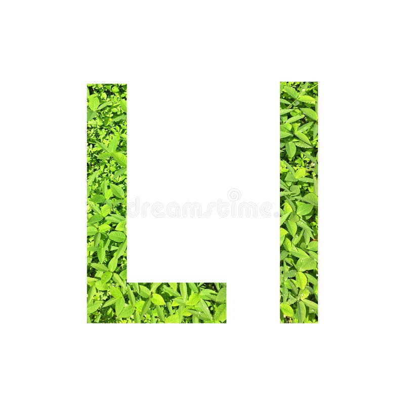 英语字母表a œl 由绿草做的la 在隔绝的白色背景库存例证 插画包括有剪报 结构树 英语字母表a œl 由绿草做的la 在隔绝的白色背景库存例证 插画包括有剪报 结构树