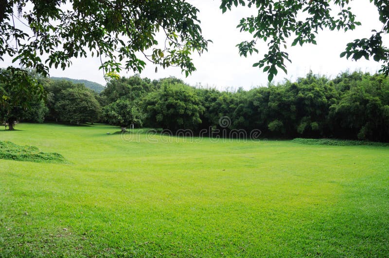 草原背景库存图片 图片包括有干净 新建 庭院 玻色子 背包徒步旅行者 季节 本质 增长