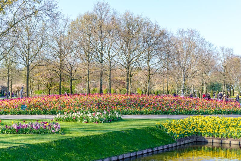 荷兰keukenhof 19年4月10日 荷兰最大的花卉展 可肯霍夫 花园年编辑类照片 图片包括有从事园艺 地标