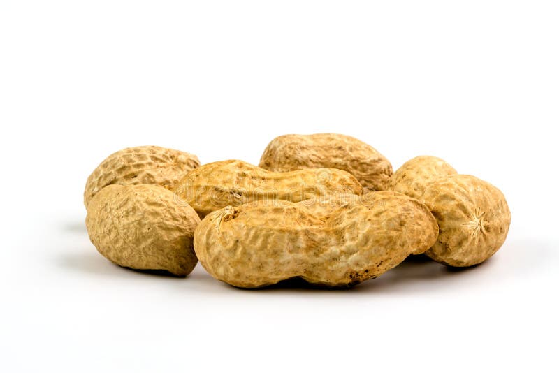 落花生库存照片 图片包括有豆类 特写镜头 关闭 红色 空白 侏儒 吊舱 陆运 黄色 3642