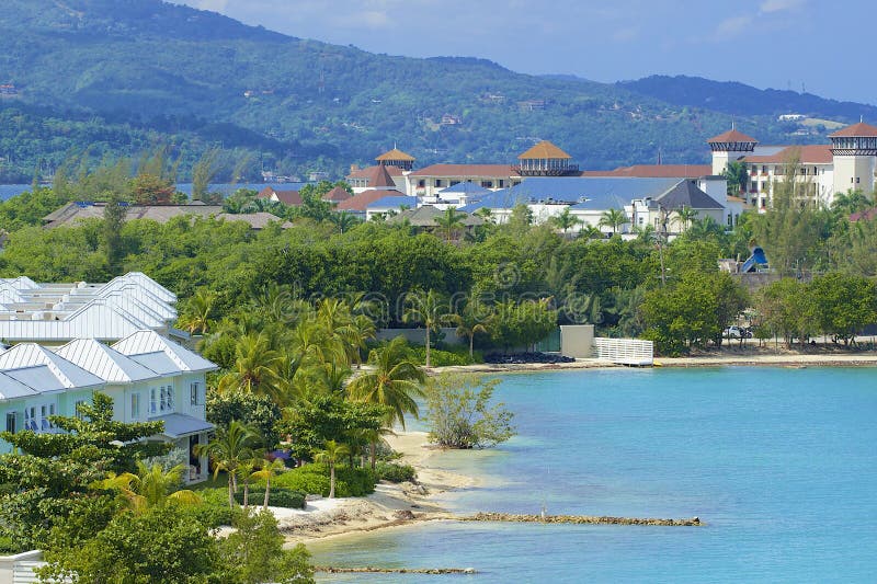 蒙特哥贝 牙买加编辑类库存图片 图片包括有海岛 牙买加 绿色 海运 本质 住宅 属性