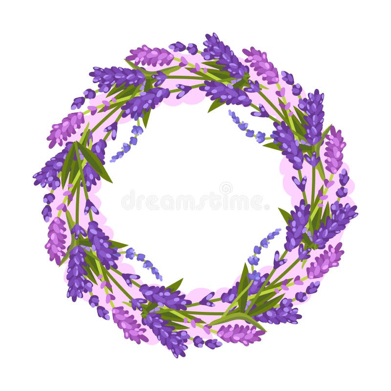 蓝紫薰衣草花圈白色背景上的矢量图插图向量例证 插画包括有