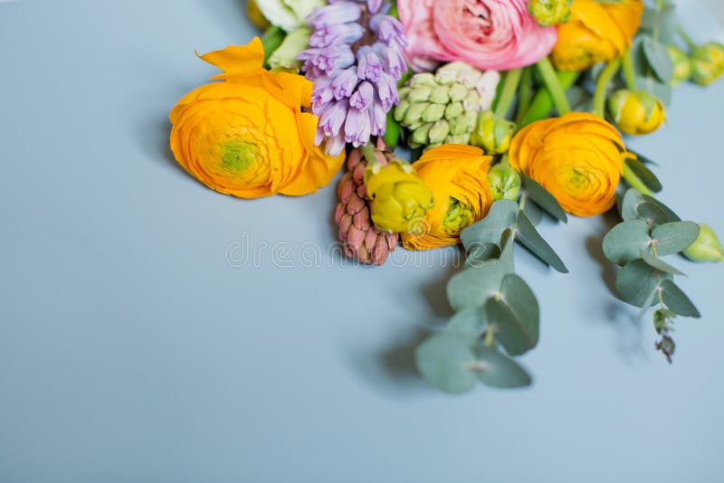 蓝色背景中带橙色和粉色小红树花 桉树和风信子的美丽花束背景中的花库存照片 图片包括有典雅 玉树