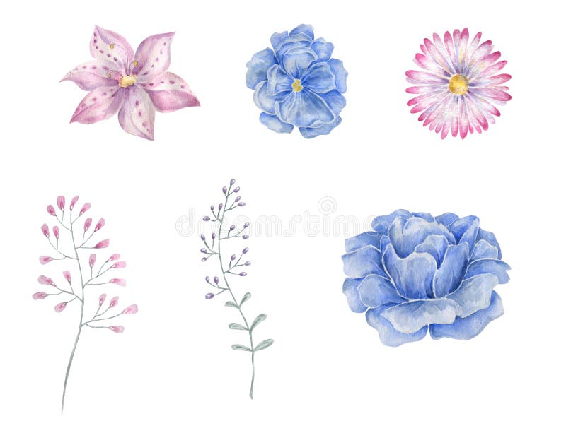 蓝色花卉花水彩图画例证几何例证绘画水彩花卉水彩画桃红色春天夏天库存例证 插画包括有设计 查出 蓝色花卉花水彩图画例证几何例证绘画水彩花卉水彩画桃红色春天夏天库存例证 插画包括有设计 查出