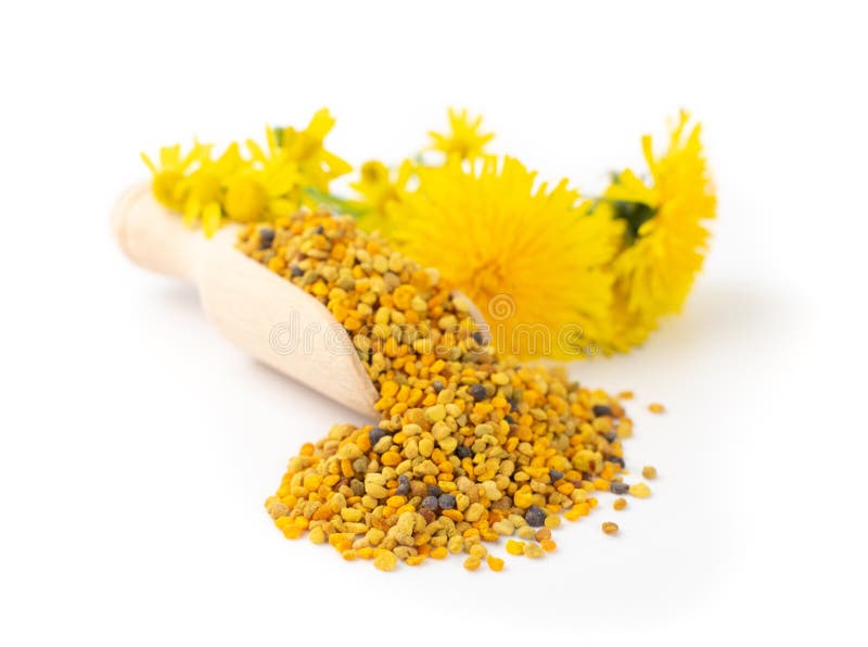 蜂花粉 蜂花 花花粉谷或蜂面包库存照片 图片包括有寻呼机 皇家 匙子 查出 适合 蜜蜂 蜂花粉 蜂花 花花粉谷或蜂面包库存照片 图片包括有寻呼机 皇家 匙子 查出 适合 蜜蜂
