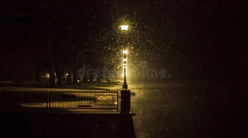 街灯在多雪的夜库存图片 图片包括有