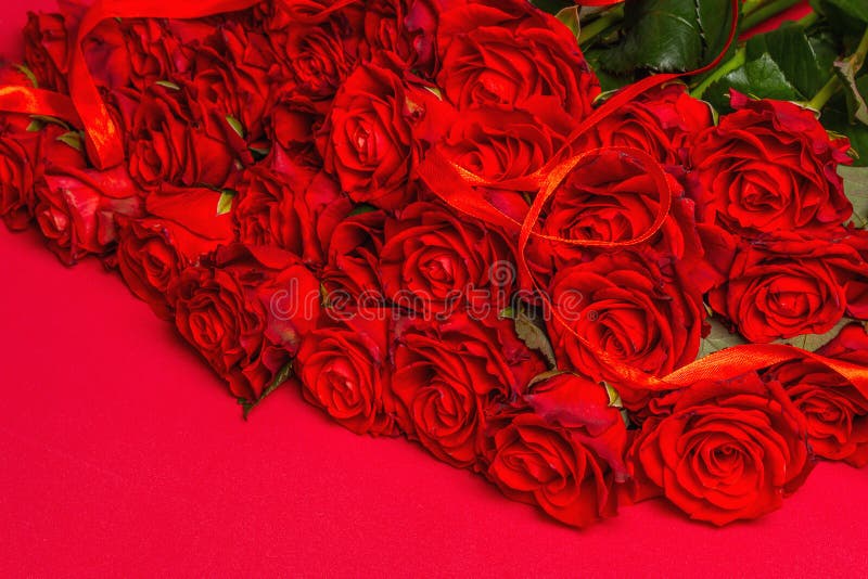 豪华的鲜红玫瑰花束库存图片 图片包括有生日 行军 豪华 花束 花卉 背包 激情 绽放