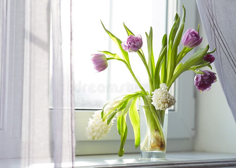 郁金香和风信花在窗口库存照片 图片包括有风信花 郁金香 玻璃 照片 水平 丁香 花瓶