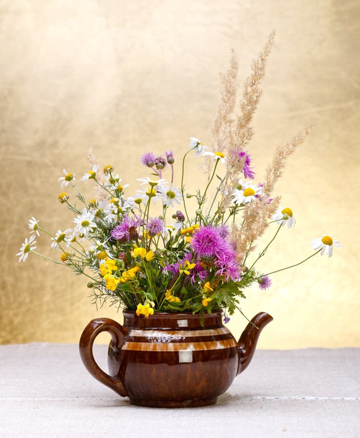 野花花静物画黄色 白色和红色花秀丽库存照片 图片包括有 野花花静物画黄色 白色和红色花秀丽库存照片 图片包括有