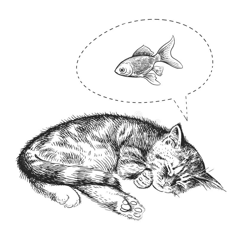 金鱼的逗人喜爱的小猫睡眠和梦想向量例证 插画包括有逗人喜爱 敌意 图象 愉快 滑稽 少许