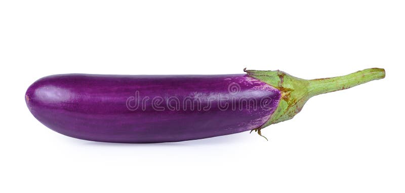 长的紫色茄子或茄子 茄属melongena 隔绝了o 库存图片 图片包括有
