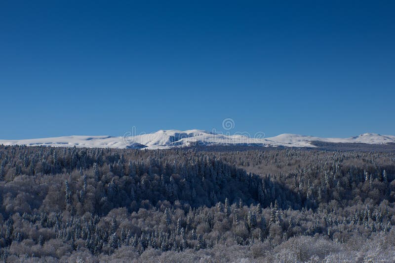 雪山背景中寒冬日的雪树库存图片 图片包括有雪山背景中寒冬日的雪树