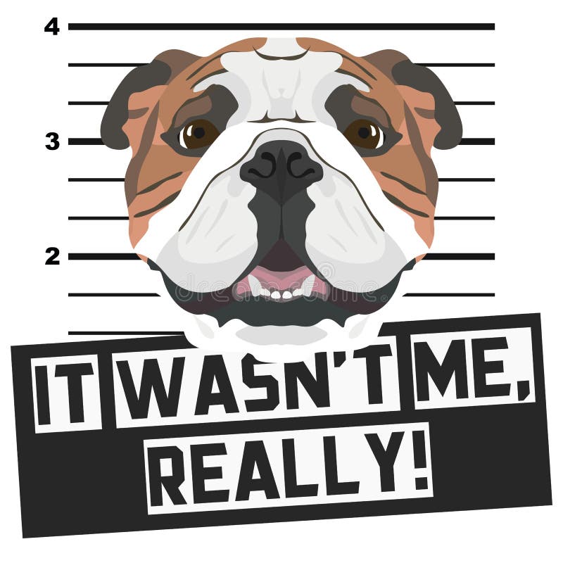 插图犬带呼吸器的英国斗牛犬向量例证 插画包括有牛头犬 人工呼吸机 流行病 英语 流行 交配动物者 插图犬带呼吸器的英国斗牛犬向量例证 插画包括有牛头犬 人工呼吸机 流行病 英语 流行 交配动物者