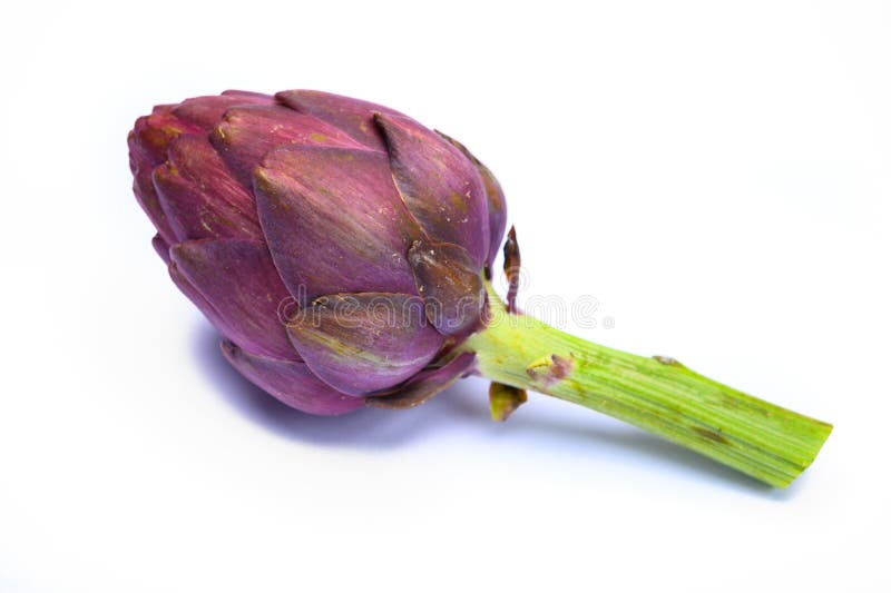 鲜紫菊芋的头库存照片 图片包括有鲜紫菊芋的头