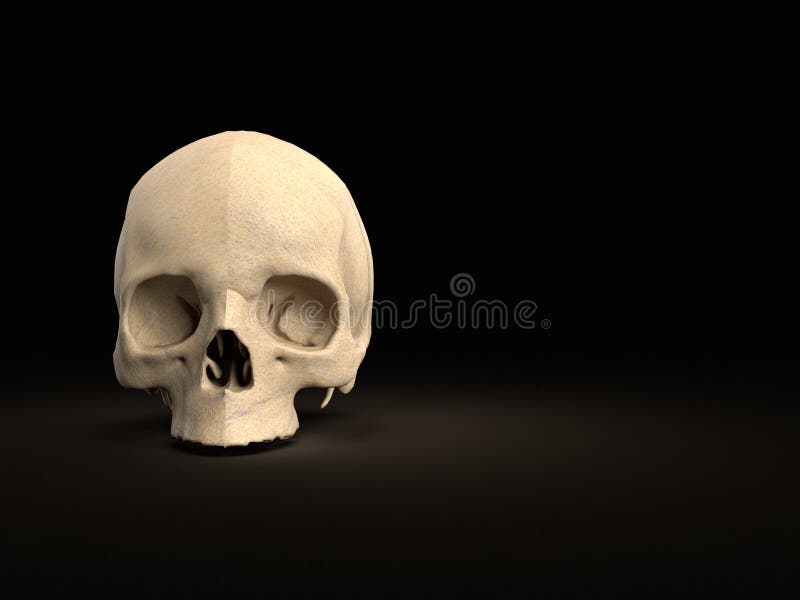 黑色背景下人头骨上半部正面3d渲染库存图片 图片包括有头盖骨 背包 中断 传记 投反对票
