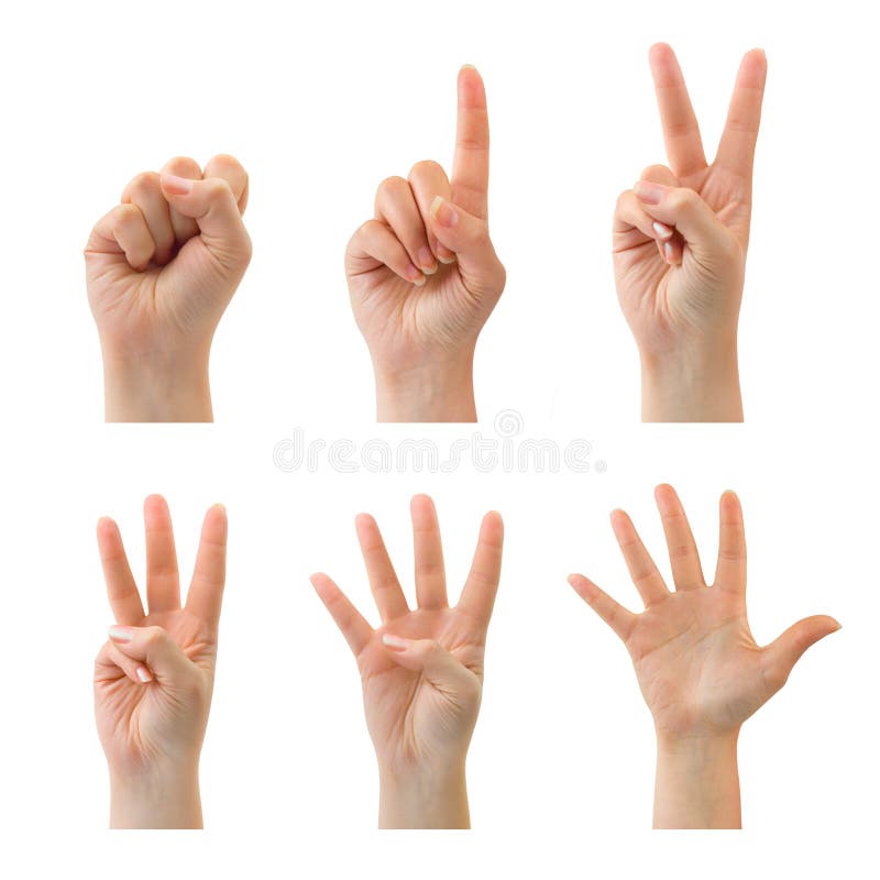 Counting woman hands (0 to 5) isolated on white background. Counting woman hands (0 to 5) isolated on white background