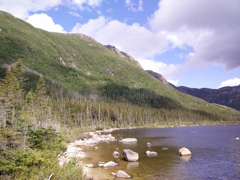 014 - Parc de la Gaspésie national : Laque Américains aux. photo libre de droits 014 - Parc de la Gaspésie national : Laque Américains aux. photo libre de droits