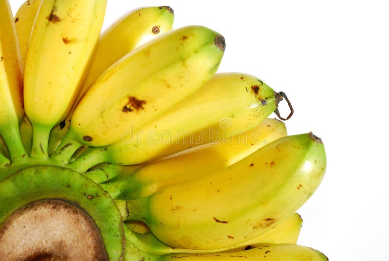 Isolated Bunch of Banana at White Background. Isolated Bunch of Banana at White Background