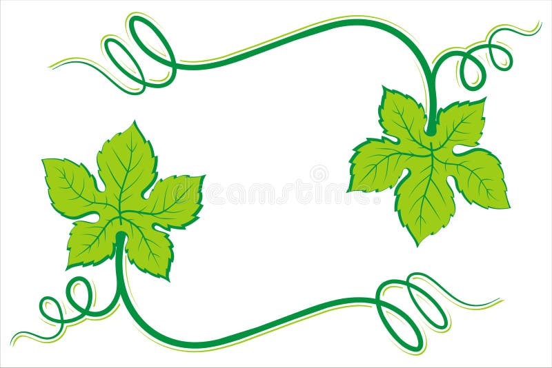 1 etikettwine stock illustrationer 1 etikettwine stock illustrationer
