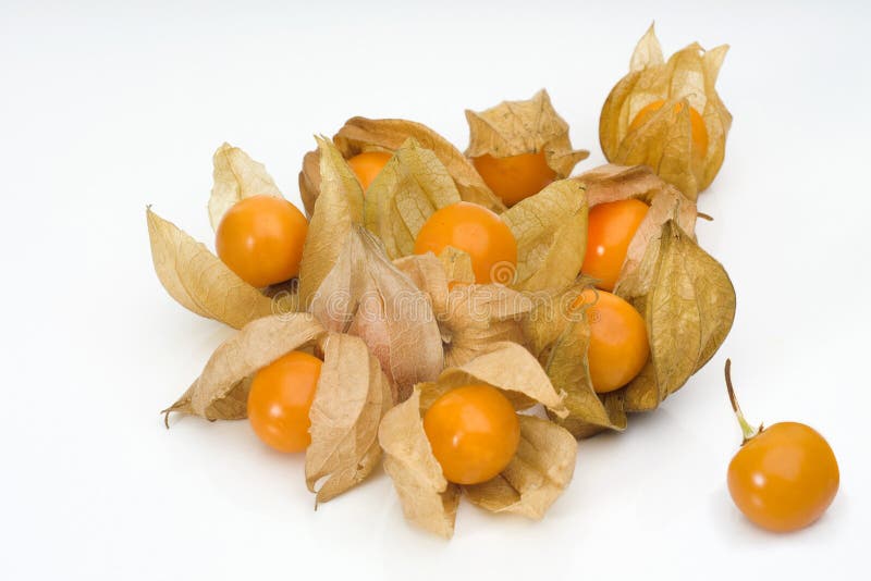1 fruktphysalis arkivbild