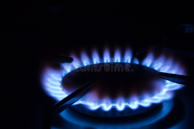 Blue gas flames - stove burner. Blue gas flames - stove burner