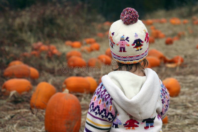 Baby looking over her choices at a pumpkin patch. Baby looking over her choices at a pumpkin patch