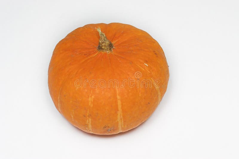Orange Pumpkin. Orange Pumpkin