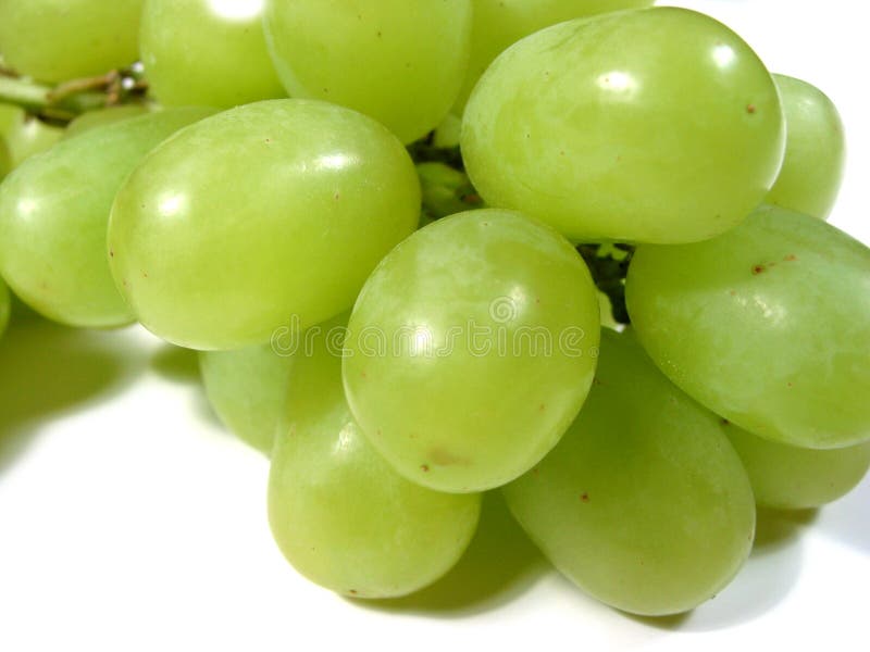 Macro of green grapes isolated on white background. Macro of green grapes isolated on white background