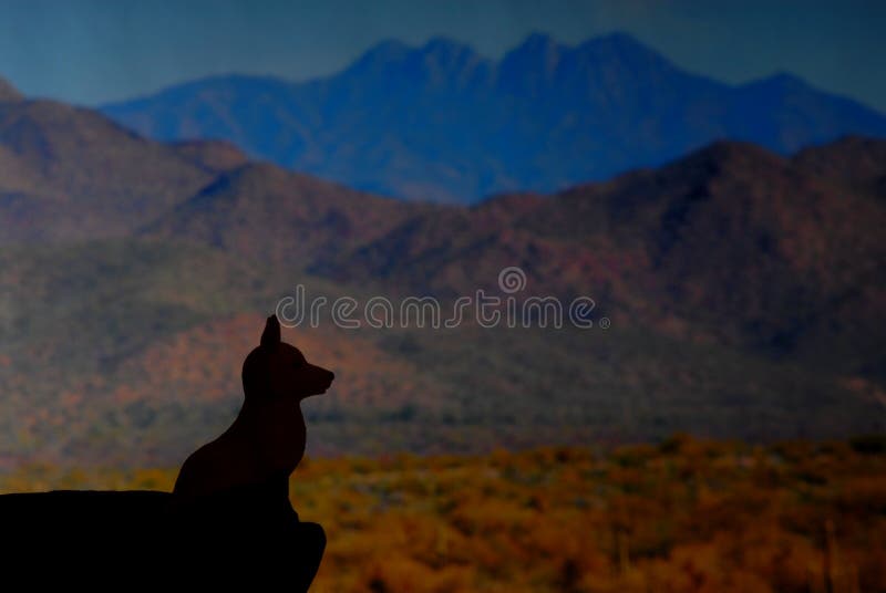 Silhouette of a desert coyote in the desert mountains. Silhouette of a desert coyote in the desert mountains