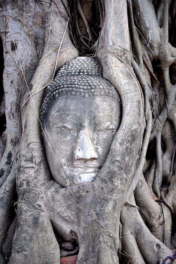 Buddha Face inside the Tree in Wat Phra Mahathat, Ayutthaya, Thailand. Buddha Face inside the Tree in Wat Phra Mahathat, Ayutthaya, Thailand