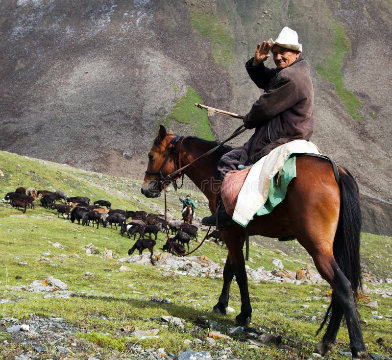 10th of October 2013 - stockrider with flock in Alay mountains on pastureland