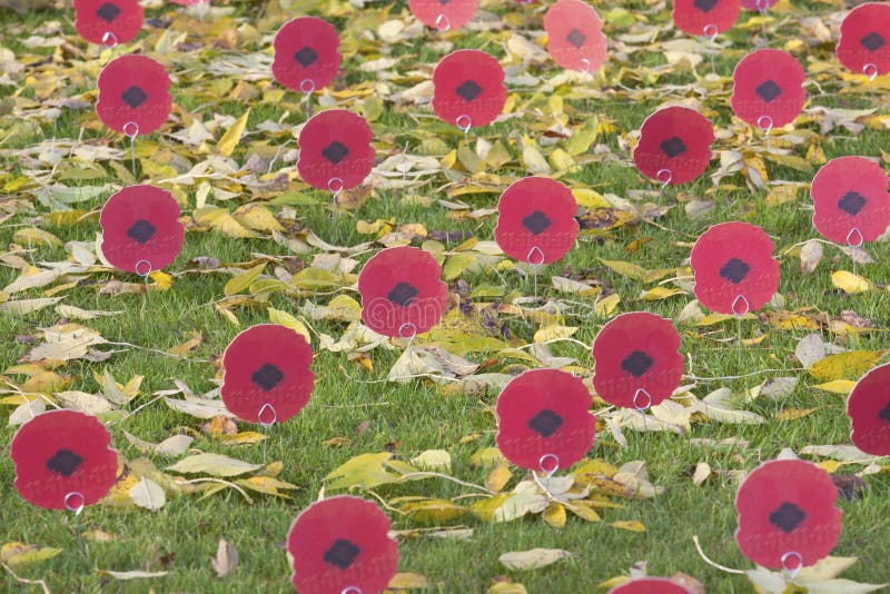 11 th November 2011 at the Menin Gate in Ypres, Belgium. Paper poppies are put in the grass. 11 th November 2011 at the Menin Gate in Ypres, Belgium. Paper poppies are put in the grass.