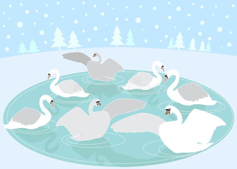 12 días de la Navidad: 7 cisnes una natación libre illustration 12 días de la Navidad: 7 cisnes una natación libre illustration
