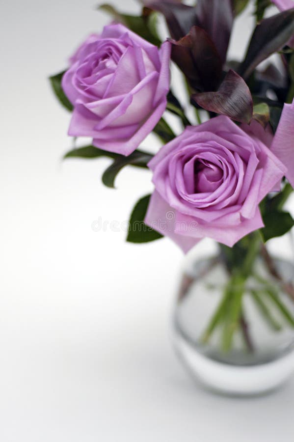 Very shallow depth of field and shot of pink roses in a glass vase. Very shallow depth of field and shot of pink roses in a glass vase