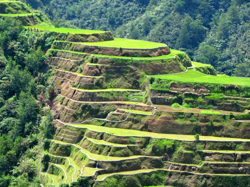 2 banauericeterrasser arkivfoton