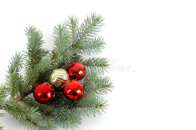 Blue spruce bough decorated with christmas ornaments. Blue spruce bough decorated with christmas ornaments