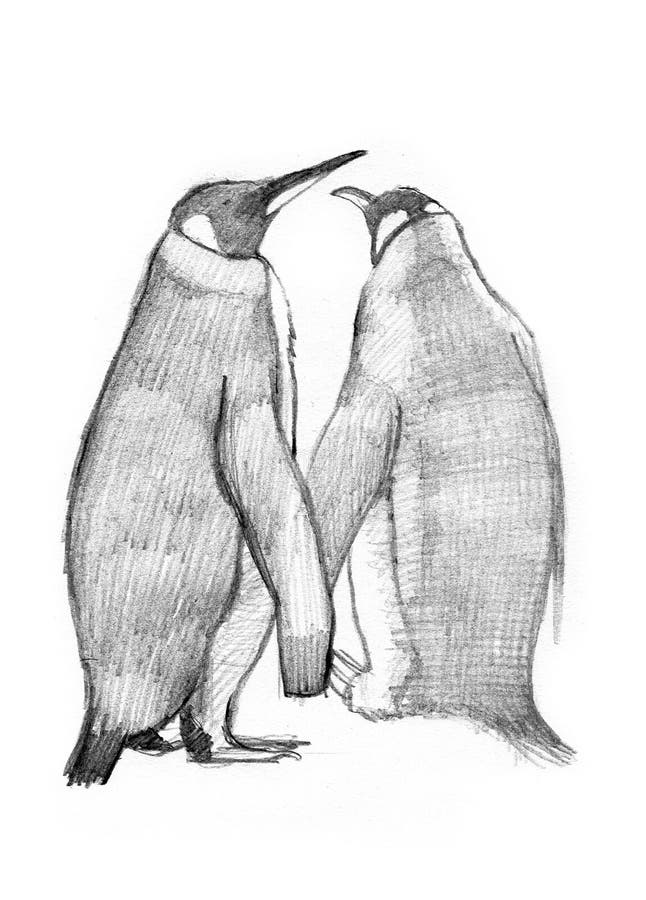 2 King Penguins drawing