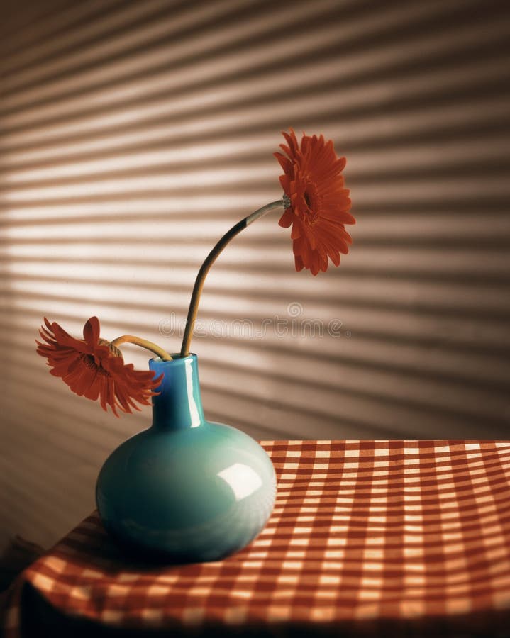 2 red gerbera flowers in blue vase