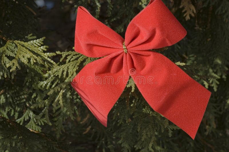 Close up of a red Christmas bow on Christmas tree. Close up of a red Christmas bow on Christmas tree