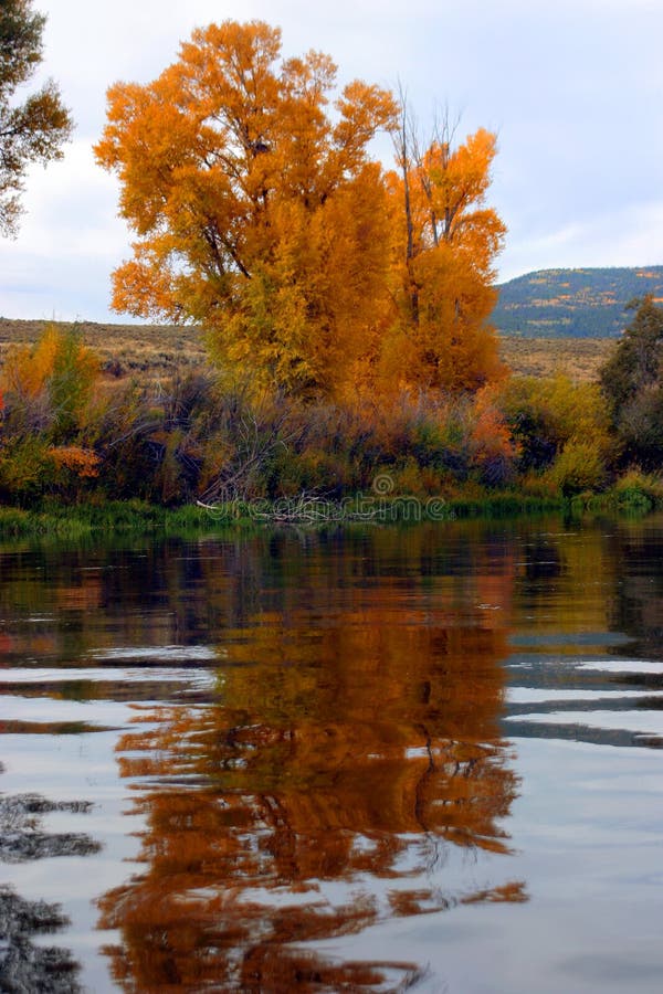 Fall colors reflecting off the Colorado river. Fall colors reflecting off the Colorado river