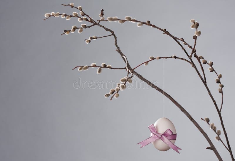 An Easter Egg with a pink bow hanging from a backlit Pussy-Willow Branch on a grey background. An Easter Egg with a pink bow hanging from a backlit Pussy-Willow Branch on a grey background.