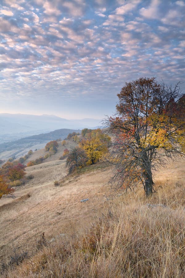 Autumn colors on the hill, with mackerel sky. Autumn colors on the hill, with mackerel sky