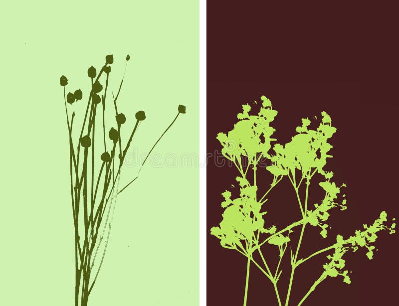 2flowers - illustration illustration de vecteur