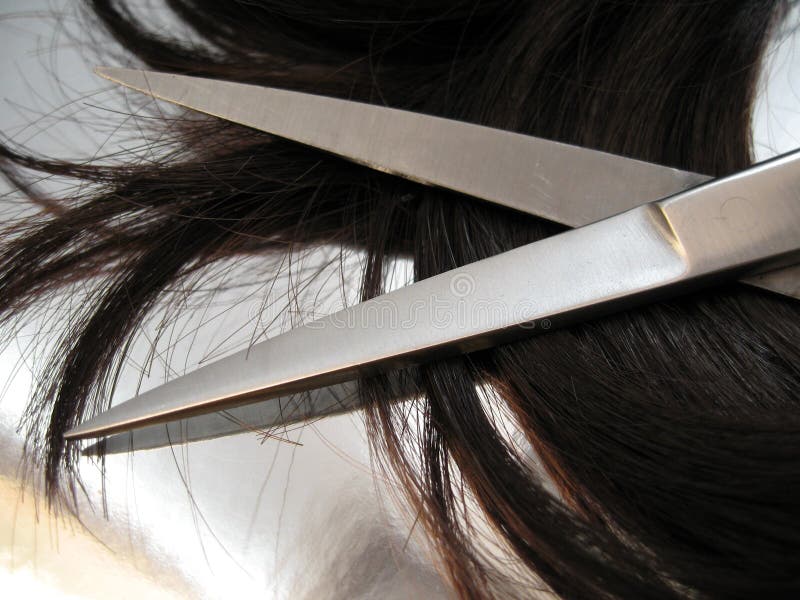 A pair of haircutting scissors and hair on a silver reflective background. A pair of haircutting scissors and hair on a silver reflective background.