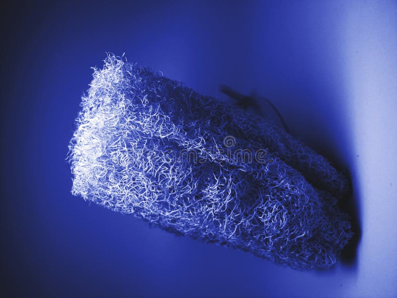 Natural sponge in blue color. Natural sponge in blue color.